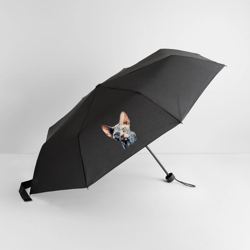 Chaton Devon Rex Chat Devon Rex Parapluie standard