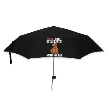 Fuchsroter Labrador Retriever Fox Red Labrador - Umbrella (small) - black - Front