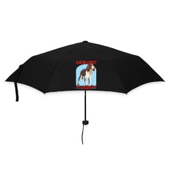 English Springer Spaniel Hundehalter Geschenk - Regenschirm (klein) - Schwarz - Vorne
