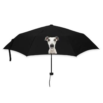 Whippet - Regenschirm (klein) - Schwarz - Vorne