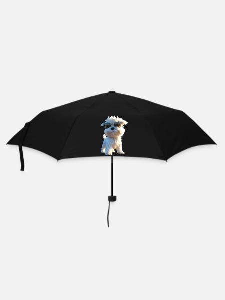 Malteser Kleiner Maltese Hund Liebe Süße Malteser - Regenschirm (klein) - Schwarz