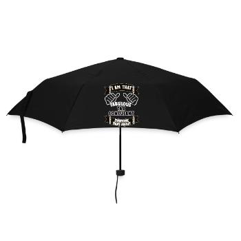 Steuerberater Lustiger Spruch Geschenkidee - Regenschirm (klein) - Schwarz - Vorne