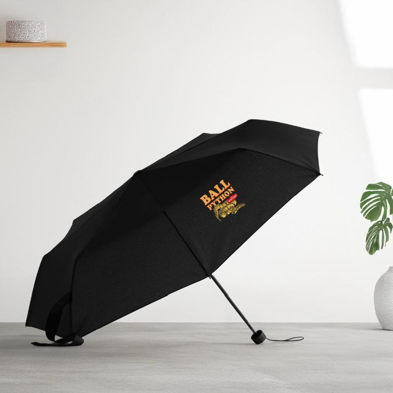 Regenschirm (klein)