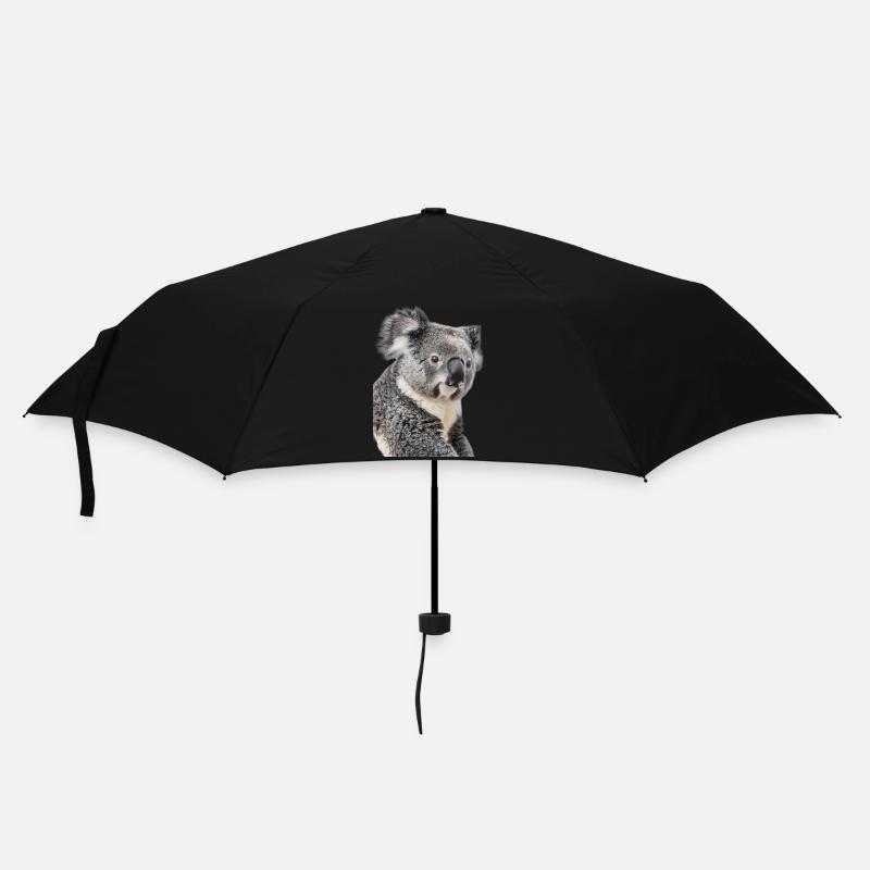 Koala - Regenschirm (klein) - Schwarz