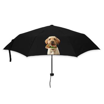 Labrador Retriever - Parapluie standard - noir - Devant