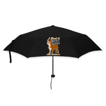 Boston Terrier I Kissed A Boston Terrier - Umbrella (small) - black - Front