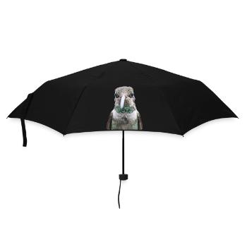 Kolibri - Regenschirm (klein) - Schwarz - Vorne