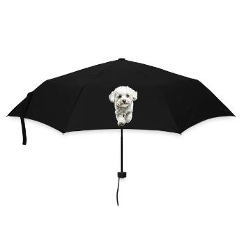 Bichon Frisé - Regenschirm (klein) - Schwarz - Vorne