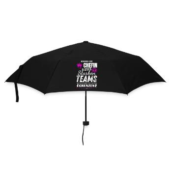 Chefin dieses Starken Teams Chefin Geschenke - Umbrella (small) - black - Front