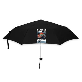 Weather forecast: 100% chance to fly - Umbrella (small) - black - Front