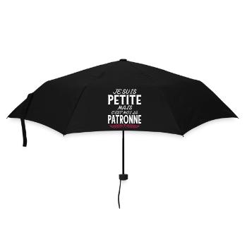 Patronne Cadeau humour personnalisé - Parapluie standard - noir - Devant