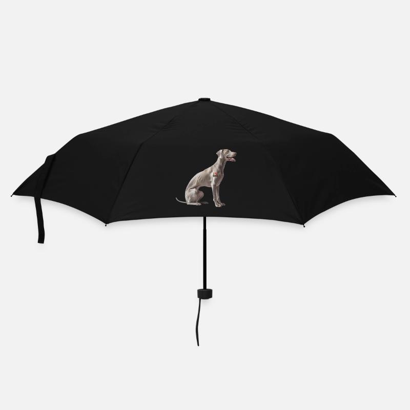 Weimaraner Dad Wapa - Regenschirm (klein) - Schwarz