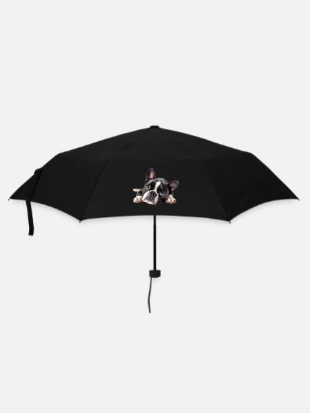 Boston Terrier - Regenschirm (klein) - Schwarz
