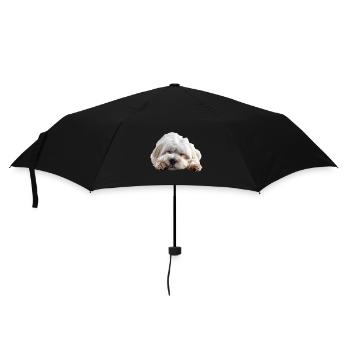 Coton de tulear - Regenschirm (klein) - Schwarz - Vorne