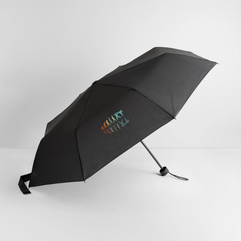 Évolution Karaté Parapluie standard