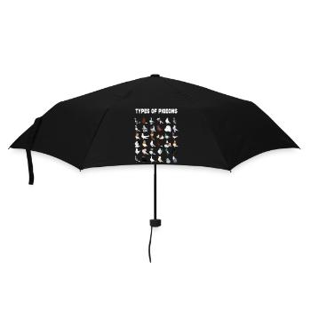 Types of Pigeons Pigeons of The World Pigeons - Umbrella (small) - black - Front