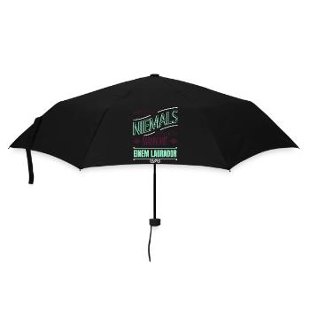 bester boxer spruch geschenk - Regenschirm (klein) - Schwarz - Vorne