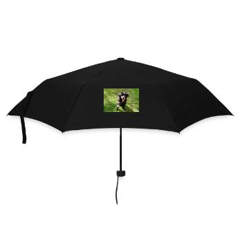 Hund Dog Samy - Umbrella (small) - black - Front