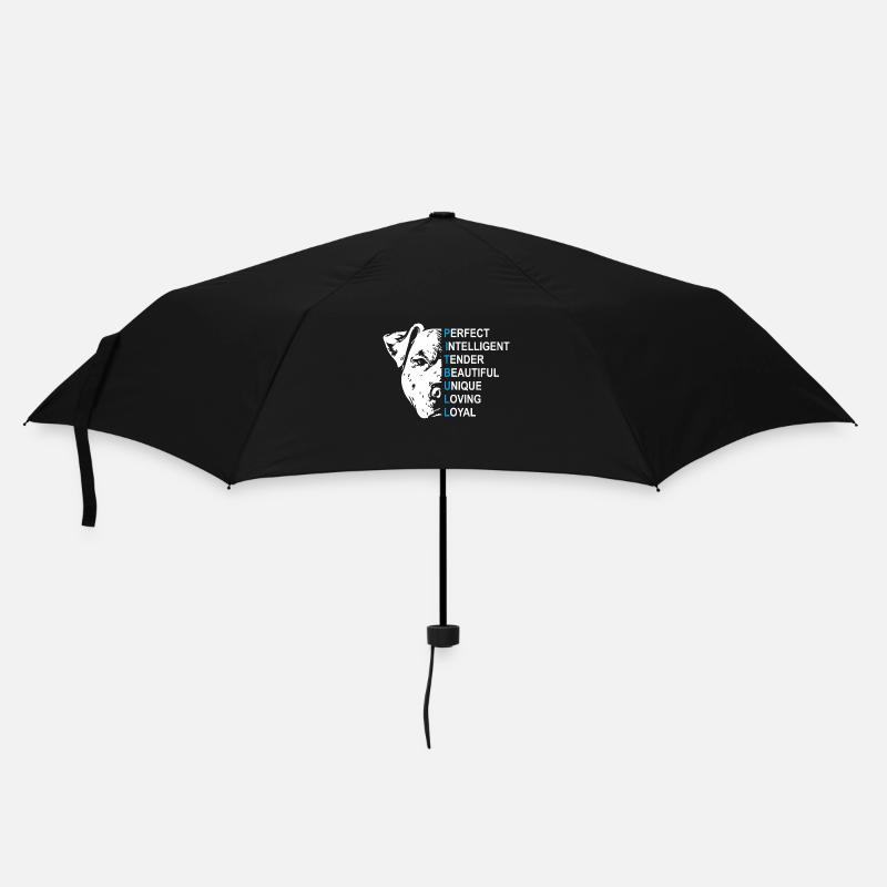 Pitbull - Regenschirm (klein) - Schwarz
