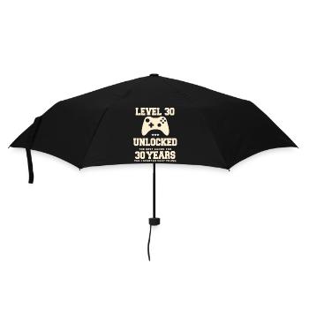 Level 30 Vintage Retro Vintage Jubiläum - Regenschirm (klein) - Schwarz - Vorne