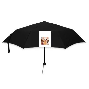 Playful Cat Portrait with Sniffing Detail - Umbrella (small) - black - Front