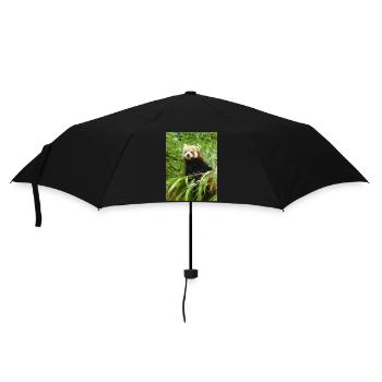 Red Panda - Umbrella (small) - black - Front