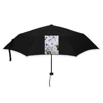 snow-in-summer also woolly thistle Hornkraut - Umbrella (small) - black - Front