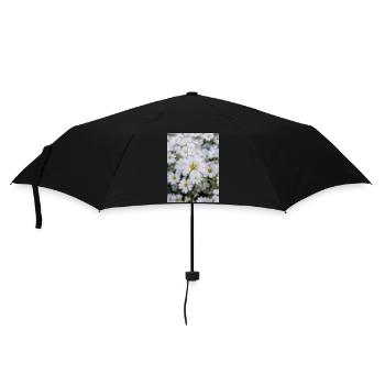 snow-in-summer also woolly thistle Hornkraut - Umbrella (small) - black - Front