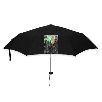 Mushrooms and plants sprout from the earth - Umbrella (small) - black - Front