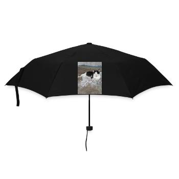 le chats - Parapluie standard - noir - Devant