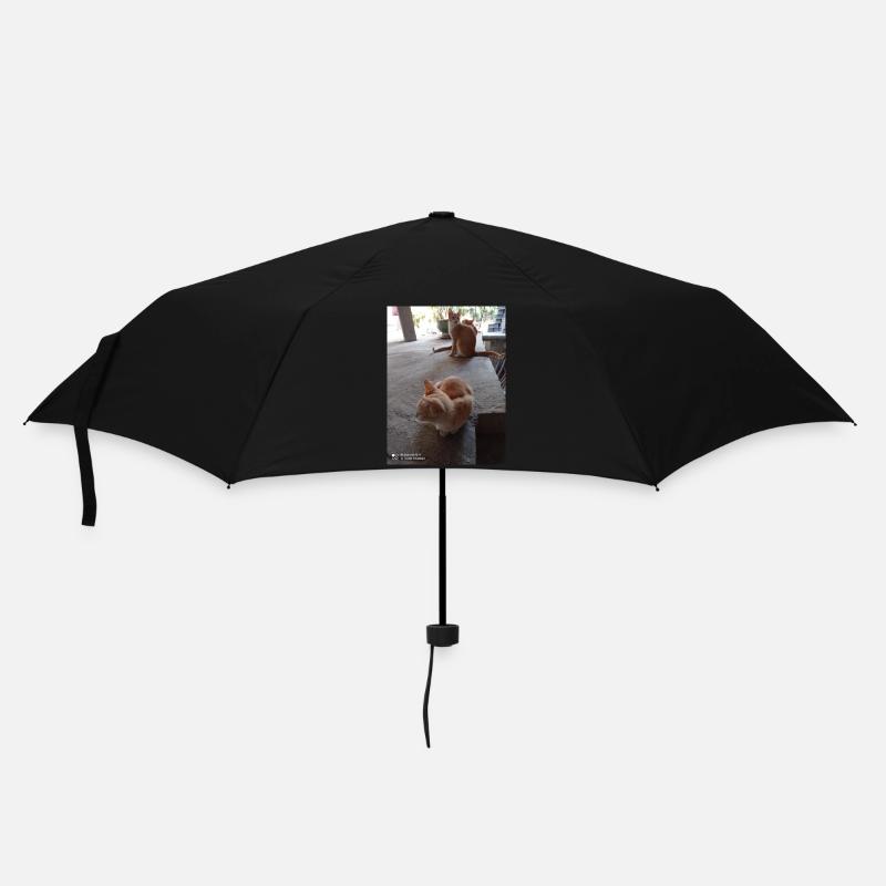 CHATS - Parapluie standard - noir