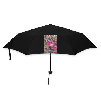 Black Pearl Loropetalum chinense - Umbrella (small) - black - Front