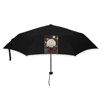 Neunrinde Blasenspiere Physocarpus capitatus - Regenschirm (klein) - Schwarz - Vorne