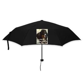Bouvier bernois - Parapluie standard - noir - Devant