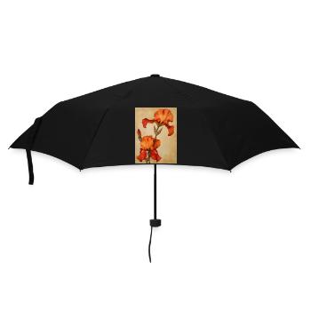 Affiche Toile Sng Iris 36 - Parapluie standard - noir - Devant