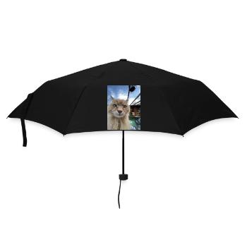 Selfie de chat - Parapluie standard - noir - Devant