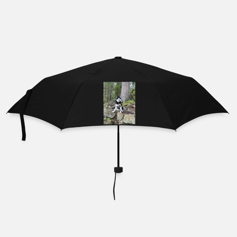 Husky - Regenschirm (klein) - Schwarz
