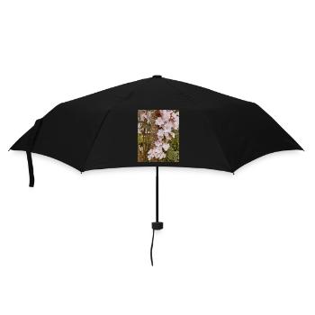 Delicate cherry blossoms on tree trunk - Umbrella (small) - black - Front