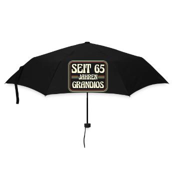 65 Jahre alt Geburtstag 65. Geburtstag - Regenschirm (klein) - Schwarz - Vorne