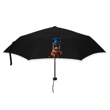 Bachelor School Leaving Certificate Cat Studies Graduate - Umbrella (small) - black - Front