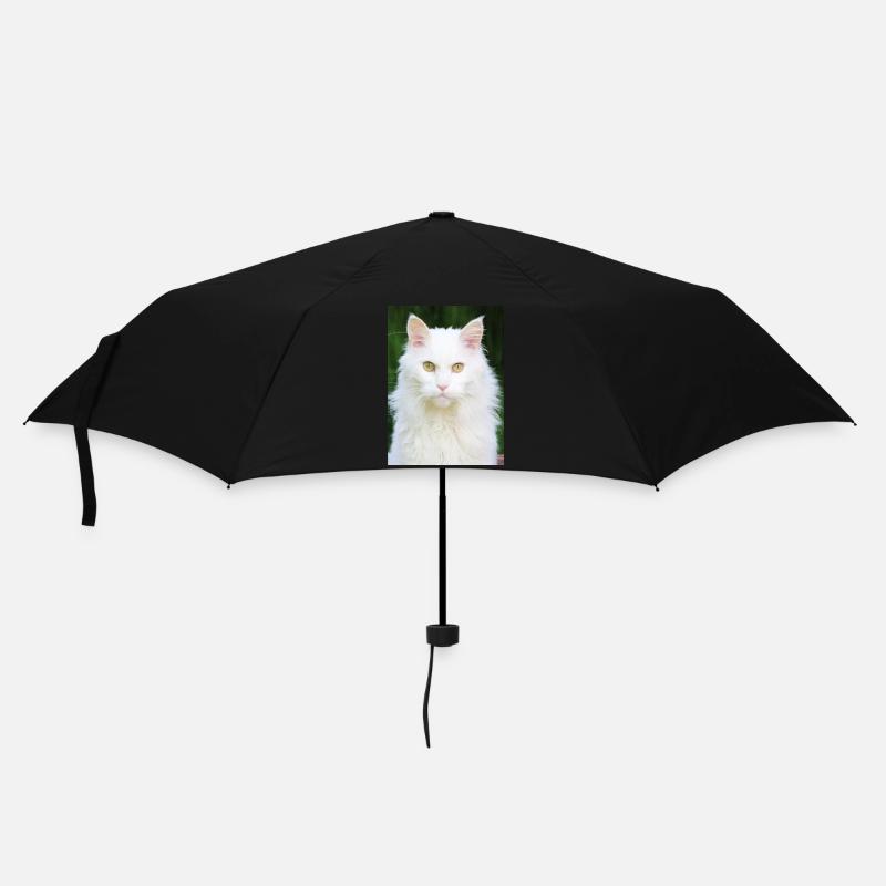 Katzen - Regenschirm (klein) - Schwarz