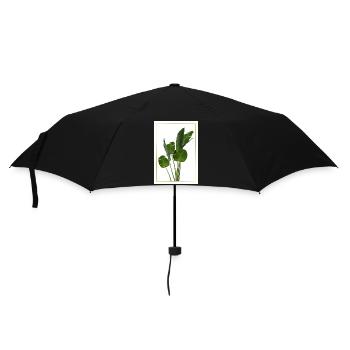 Banana Leaf Tropical Splendor - Umbrella (small) - black - Front