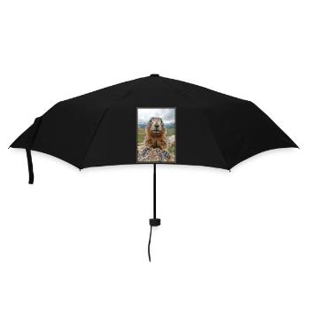 Marmottes Marmotte - Parapluie standard - noir - Devant