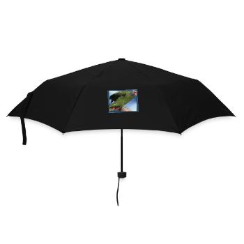 Le perroquet à queue rousse - Parapluie standard - noir - Devant