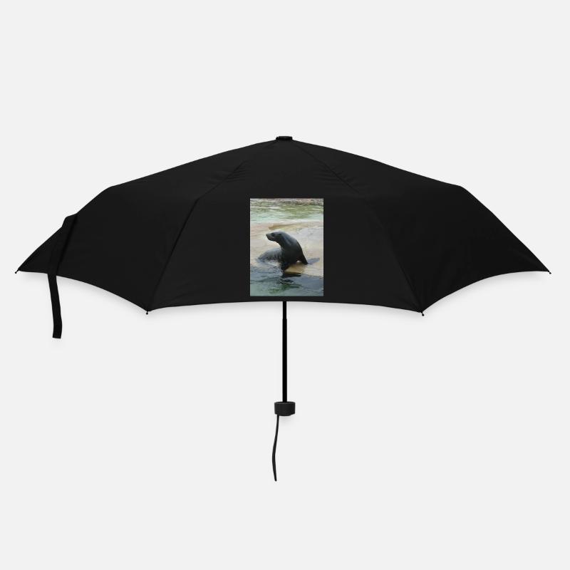 Sea Lion in a pool - Umbrella (small) - black