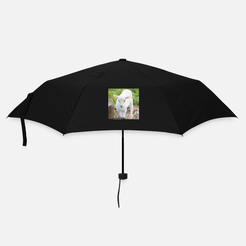 Lämmchen (Ovis) Lamm - Regenschirm (klein) - Schwarz