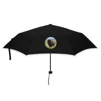 Büffel Bulle Kuh Bison Jerky - Regenschirm (klein) - Schwarz - Vorne
