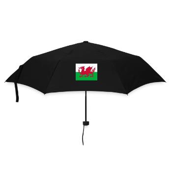 Flagge von Wales - Regenschirm (klein) - Schwarz - Vorne