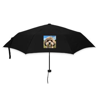 Süßer Bolonka Zwetna Welpe - Regenschirm (klein) - Schwarz - Vorne