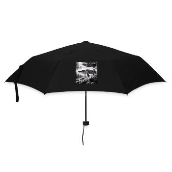 Brochet Photo 2 - Parapluie standard - noir - Devant
